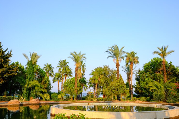 Wadi Hatta Park